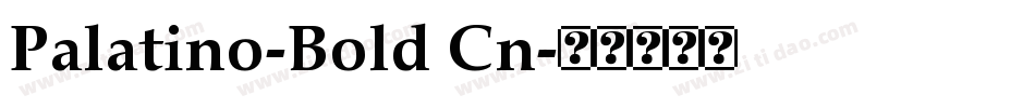 Palatino-Bold Cn字体转换